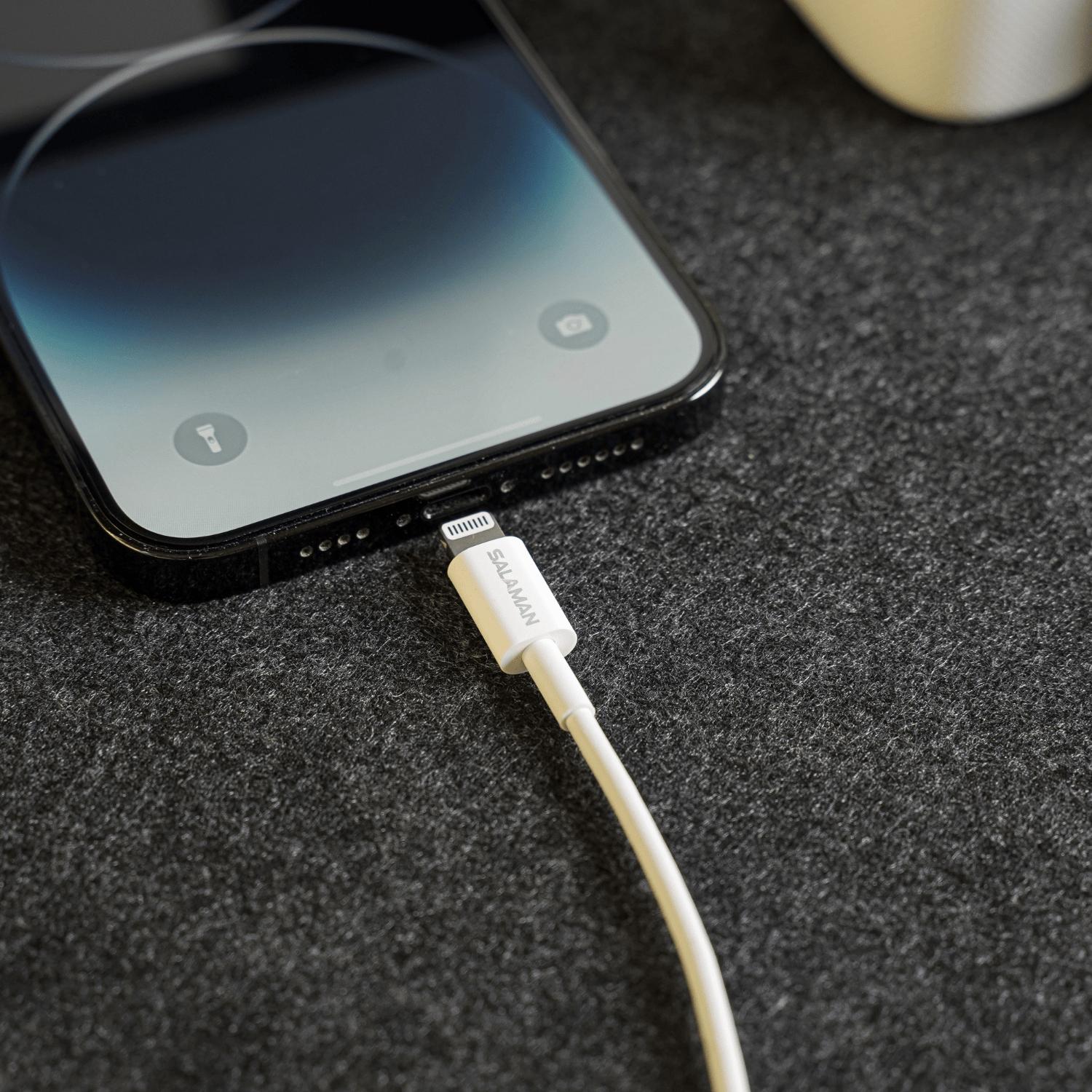 Salaman Nano GS USB-C to USB-C Cable 60W product image