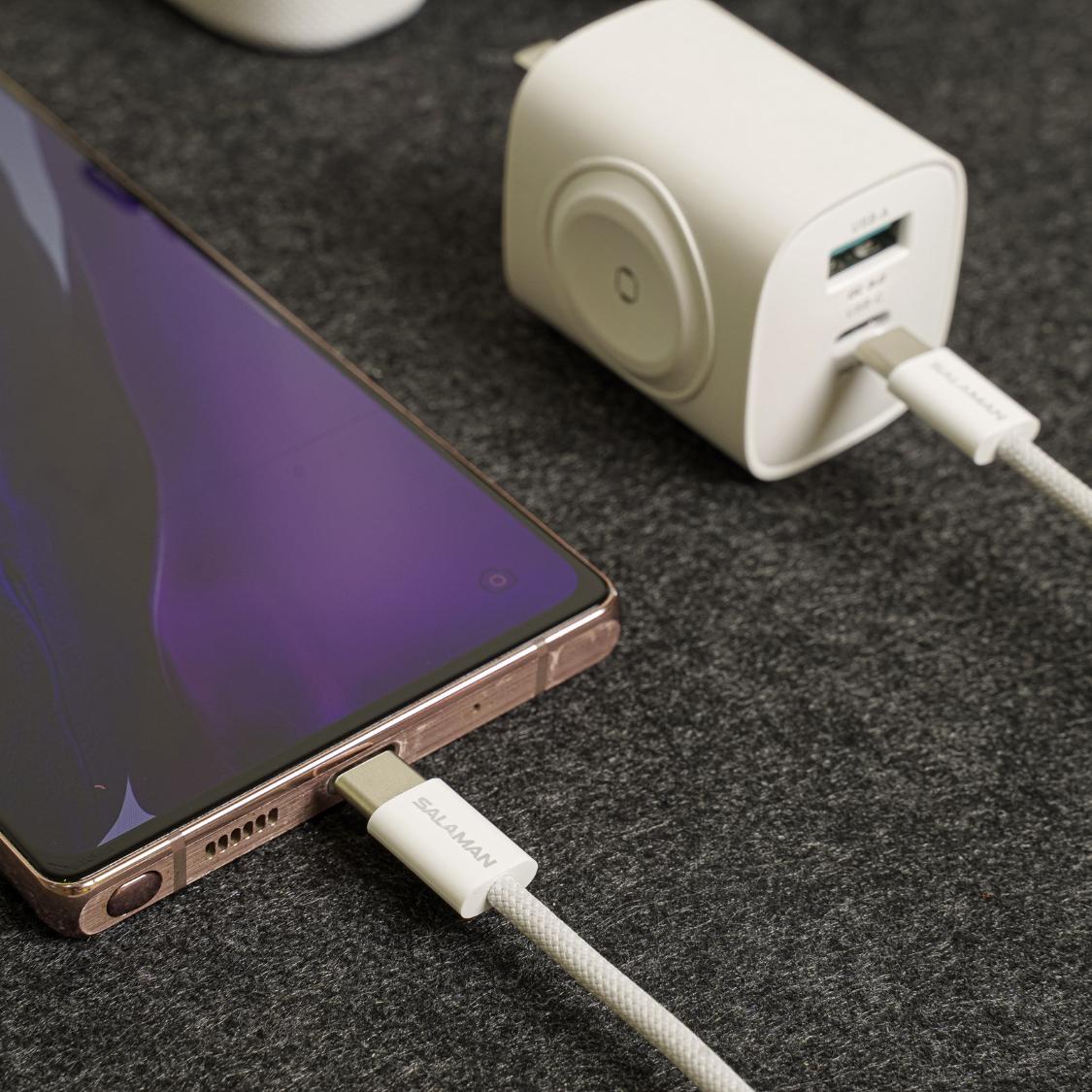 Salaman Nano GS USB-C to USB-C Cable 60W product image
